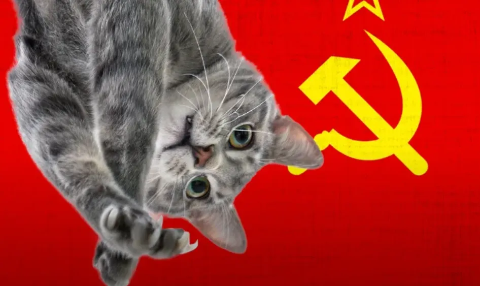 Captura desde 2025-11-12 22-47-58