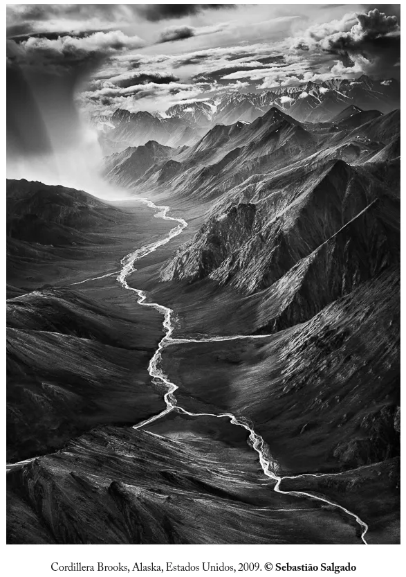 Captura desde 2025-11-03 21-16-48