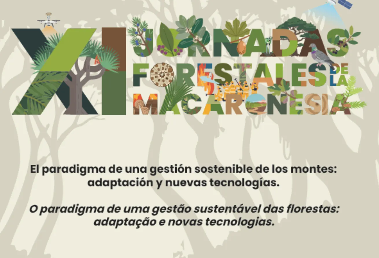 Captura de pantalla 2025-11-25 112755