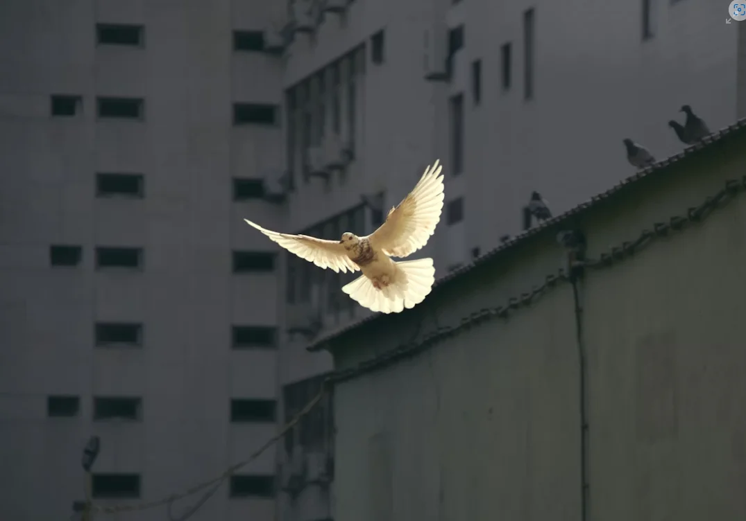 Captura de pantalla 2026-03-05 120206