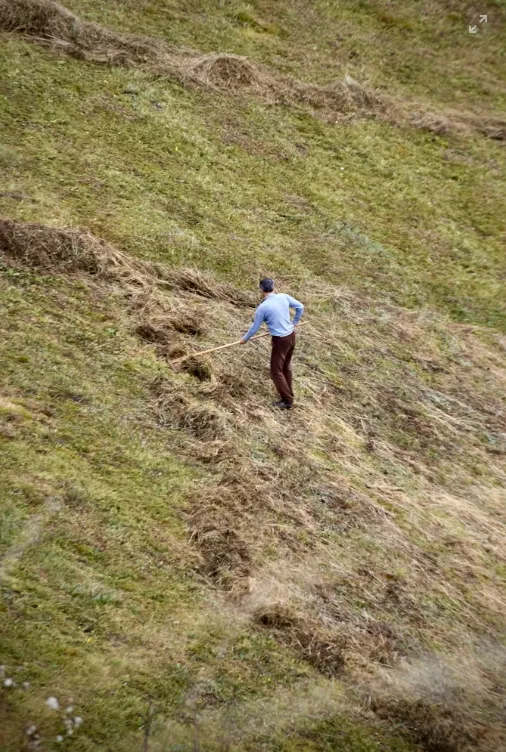 Captura de pantalla 2026-01-19 091948
