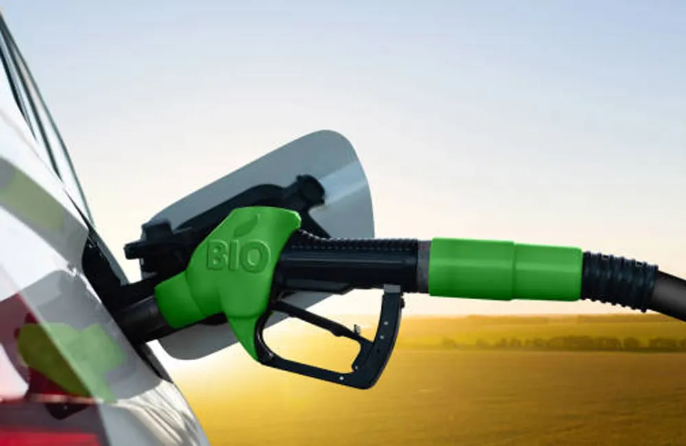 202050809_BioeconomiaSubproductoTransformacion