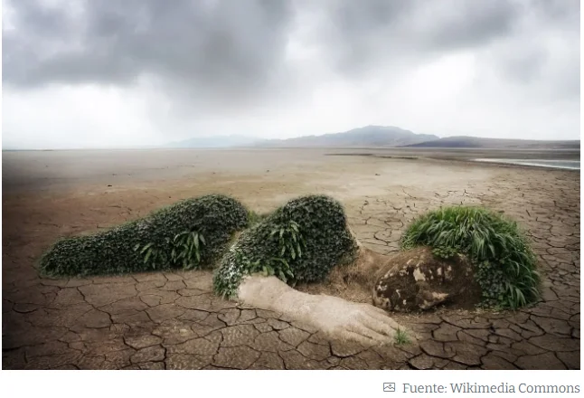 Captura de pantalla 2026-03-11 120420