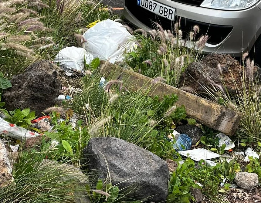 Captura de pantalla 2026-03-31 115054