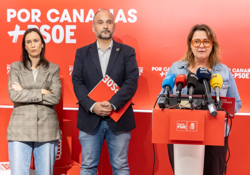 Captura de pantalla 2026-02-19 131510