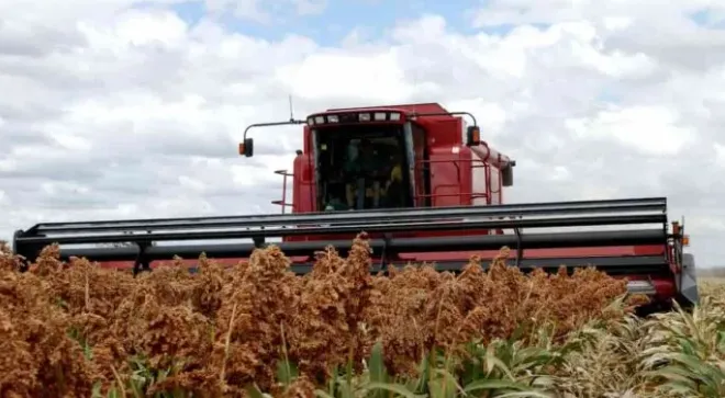 Captura de pantalla 2026-01-15 103712