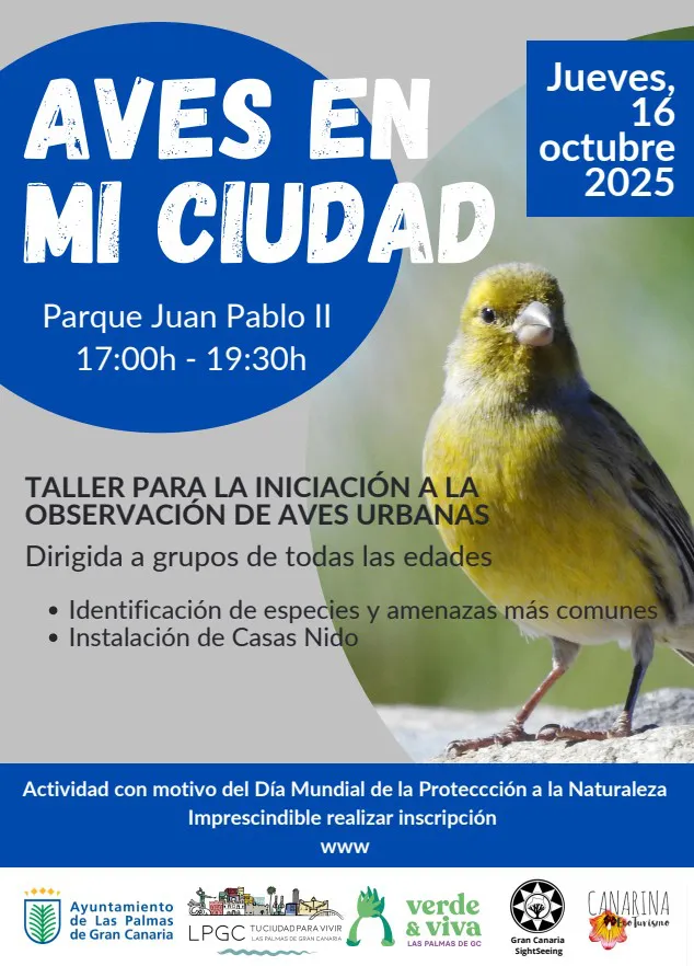 Captura de pantalla 2025-10-13 135624