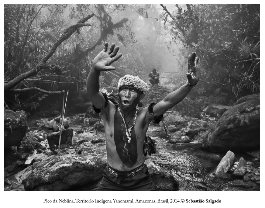 Captura desde 2025-11-03 21-02-36