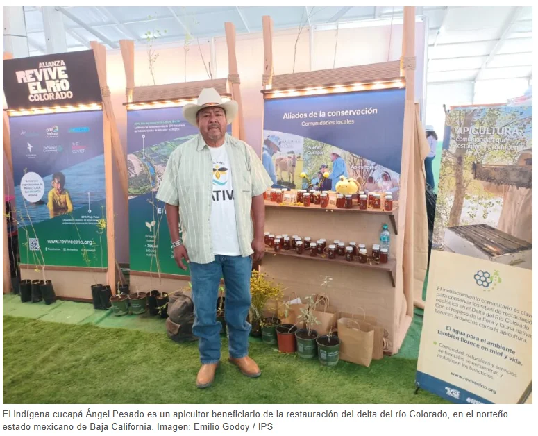 Captura de pantalla 2026-03-12 130735