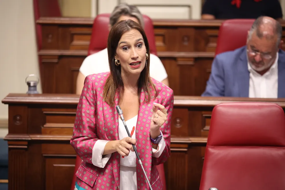 NIRA FIERRO PLENO PREGUNTA