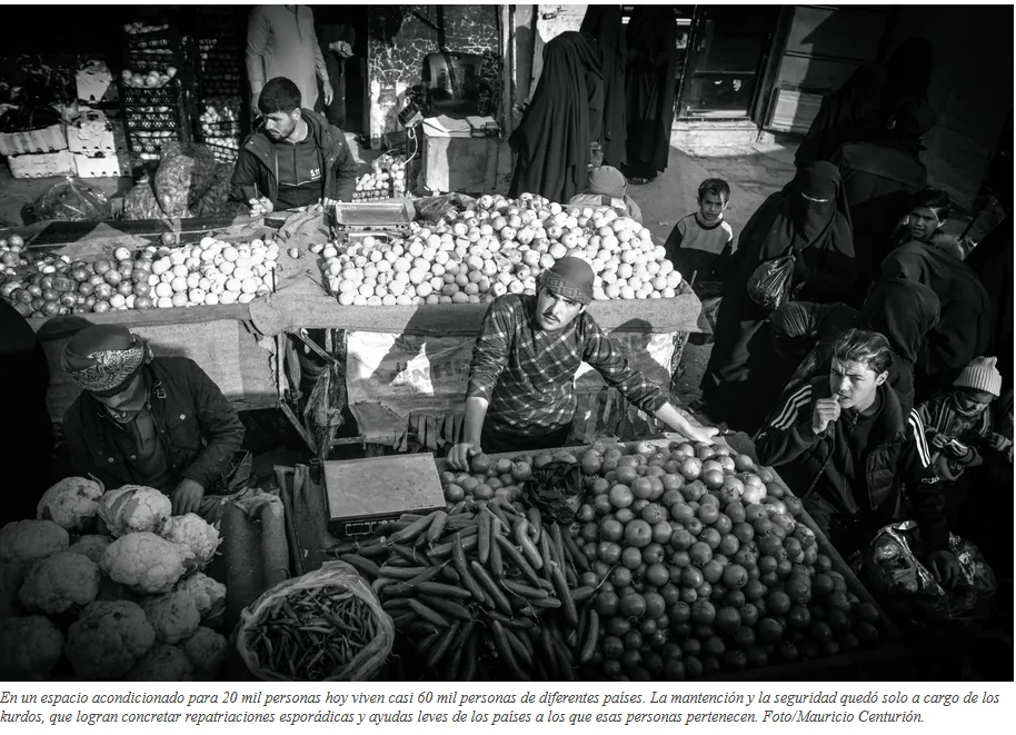 Captura de pantalla 2025-12-26 082326