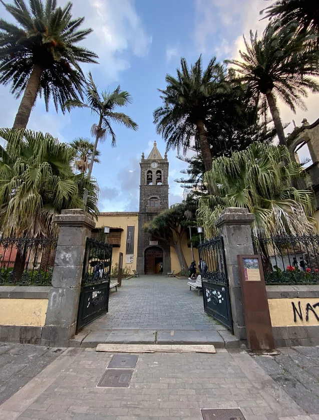 Captura de pantalla 2026-03-13 133149