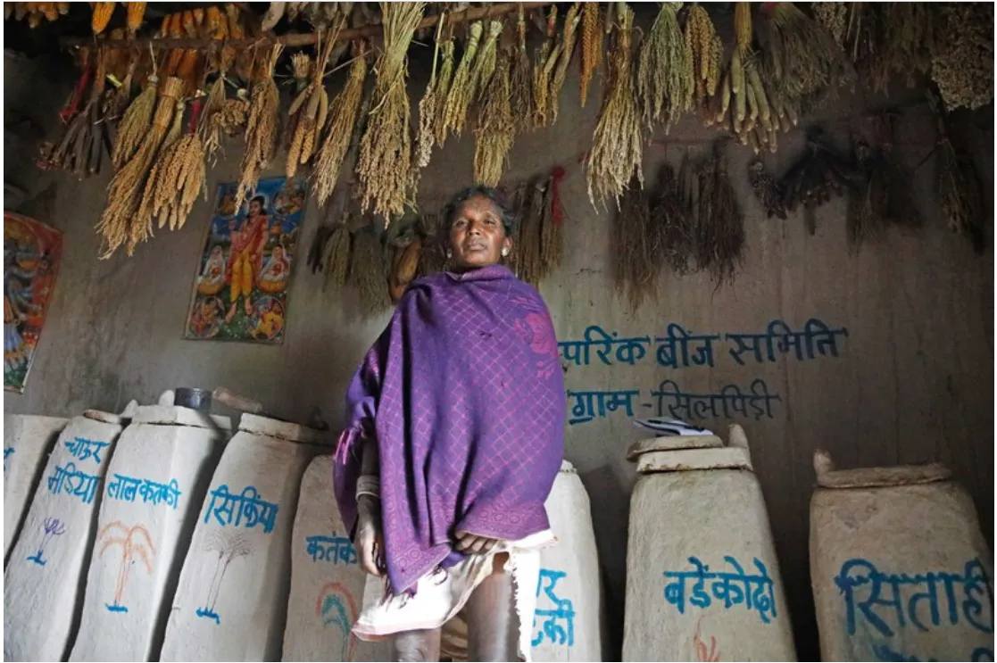 Captura de pantalla 2026-01-20 112713