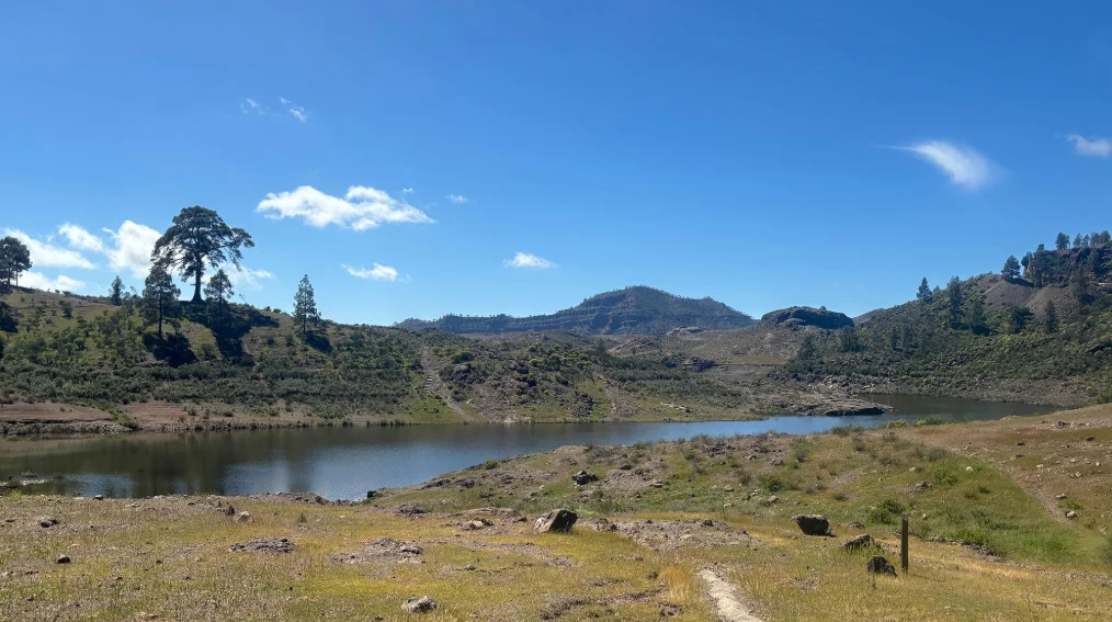 Captura de pantalla 2026-03-03 092114