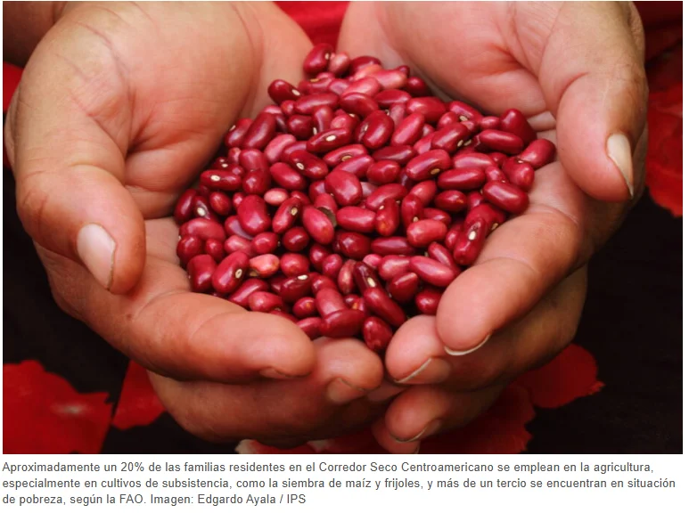 Captura de pantalla 2026-03-30 093249