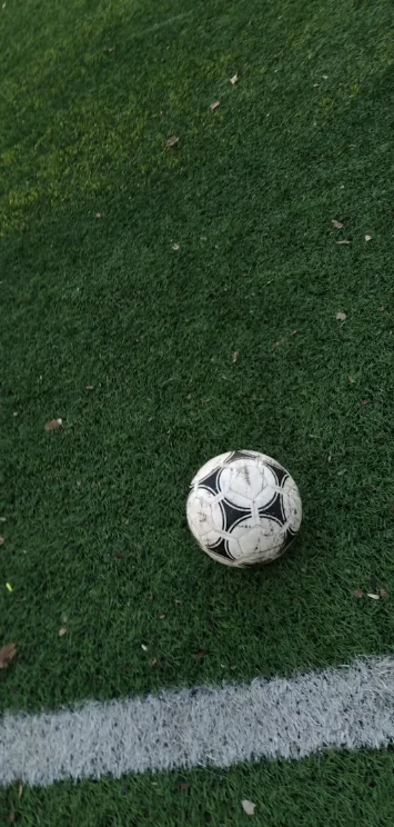 Captura de pantalla 2026-09-24 072136