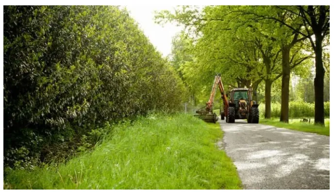 Captura de pantalla 2026-01-23 132901