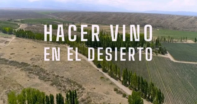 Captura de pantalla 2026-01-22 073749