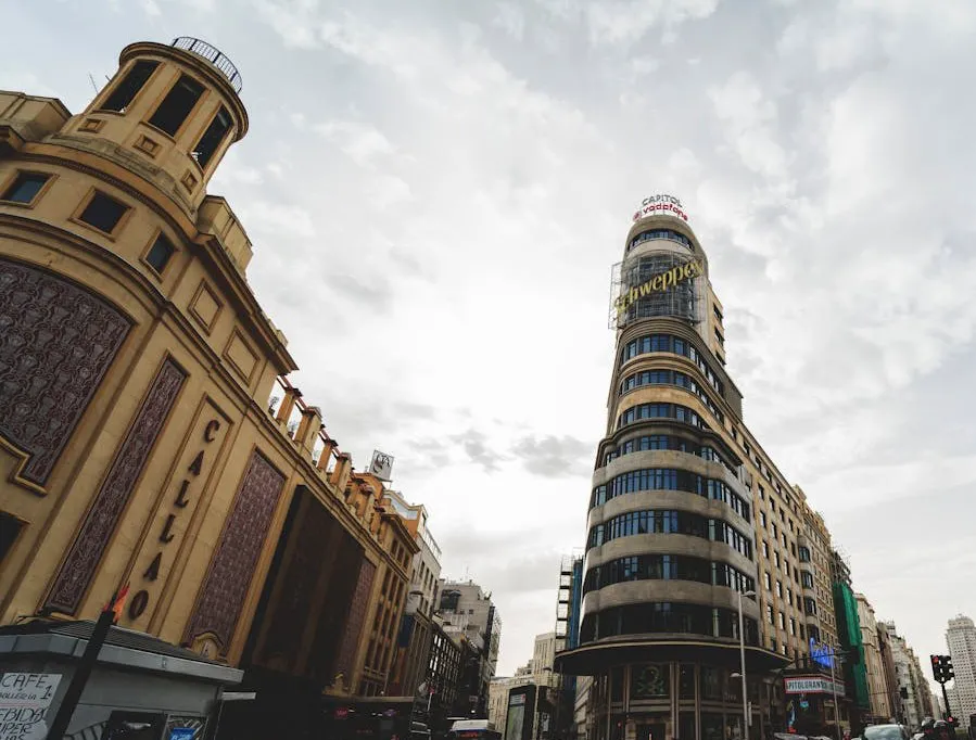 pexels-gonzalo-mendiola-95842233-9241631