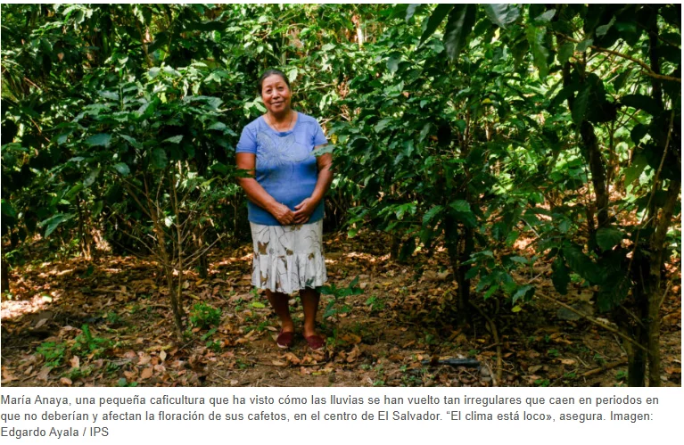 Captura de pantalla 2026-03-30 093331