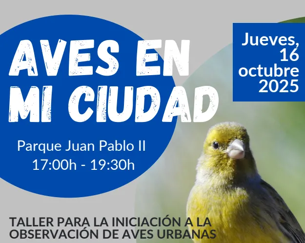 Captura de pantalla 2025-10-13 135649