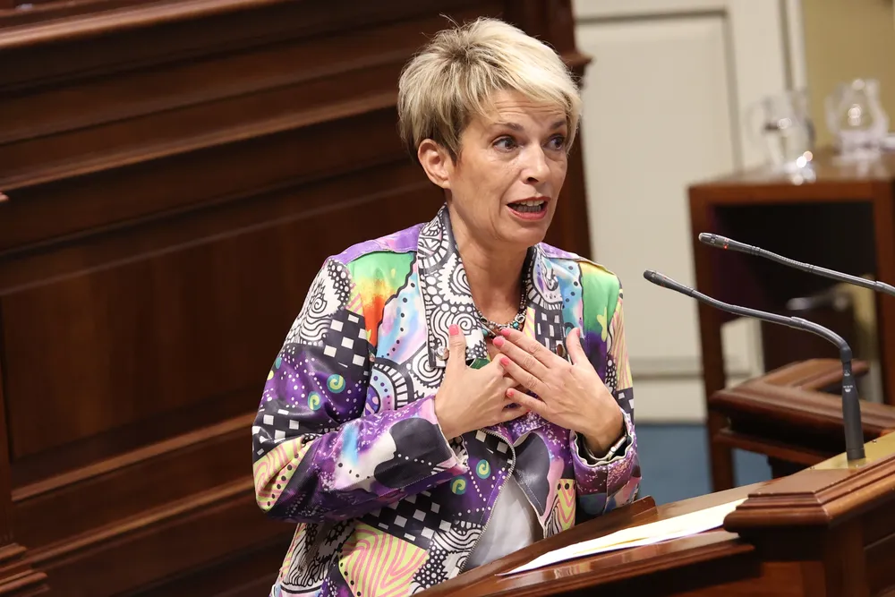 ELENA MÁÑEZ PREGUNTA