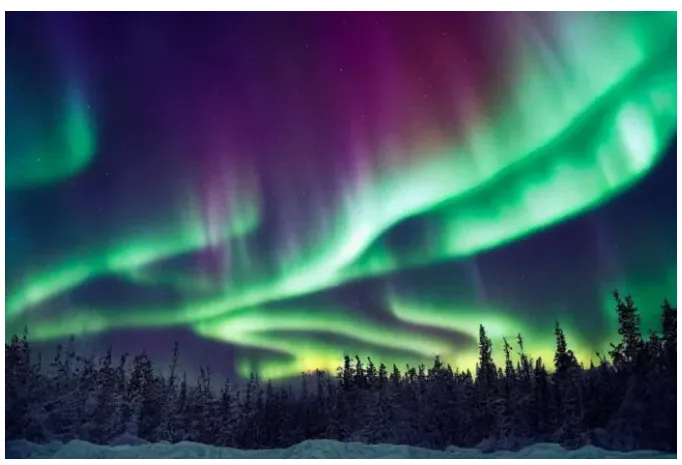 Captura de pantalla 2026-01-23 125214