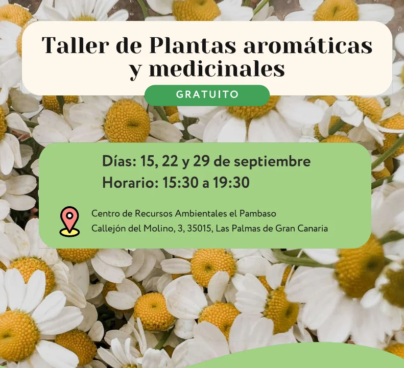 Captura de pantalla 2026-08-24 113227