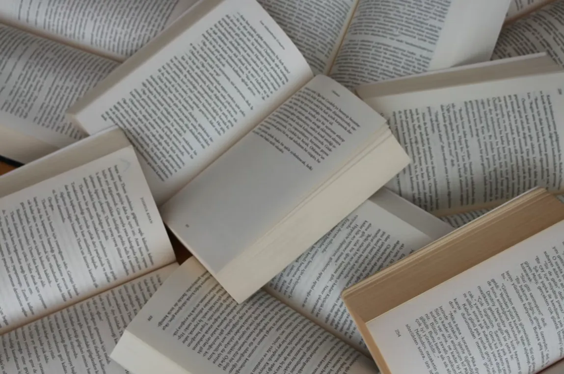 Captura de pantalla 2026-01-12 115030