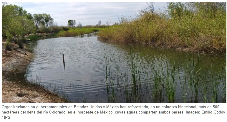 Captura de pantalla 2026-03-12 130552