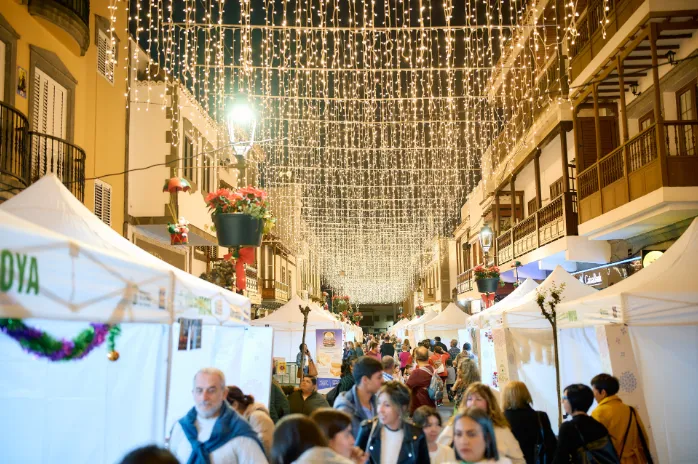 Captura de pantalla 2025-12-02 080345