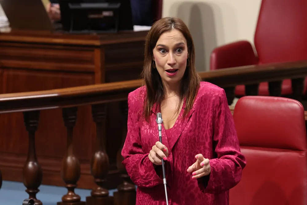 FIERRO PREGUNTA EDUCACIÓN