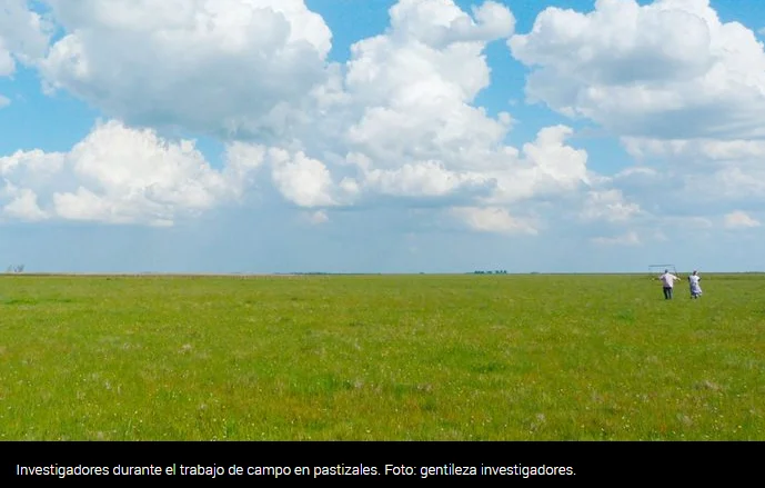 Captura de pantalla 2026-04-15 093750
