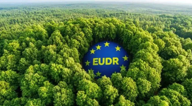 Captura de pantalla 2025-12-26 074921